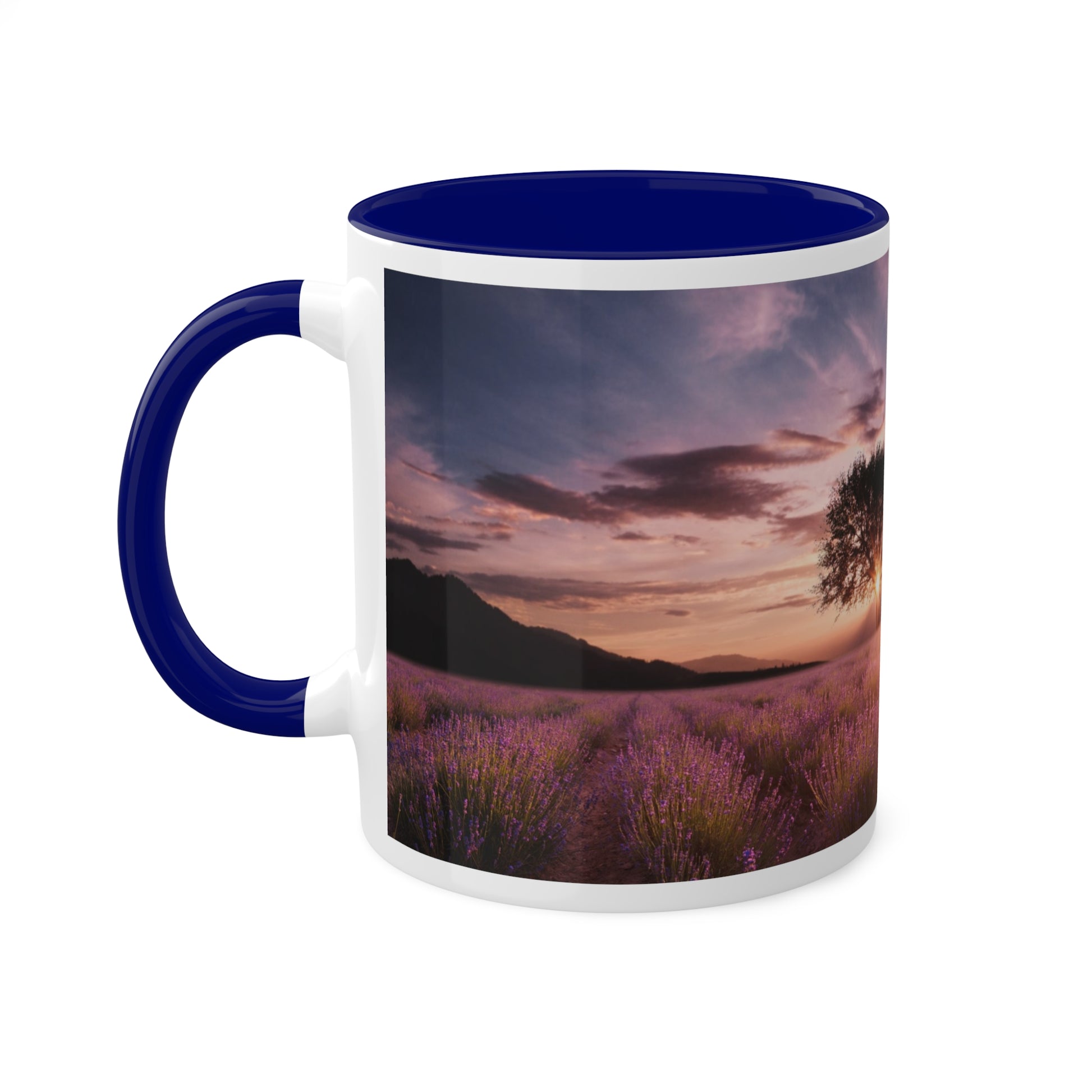 Colorful Mugs, 11oz - Mozarto Enterprise